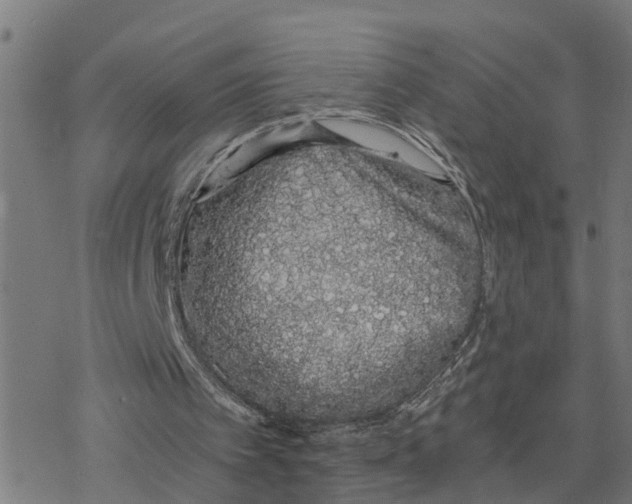 X0000078260097200612011704