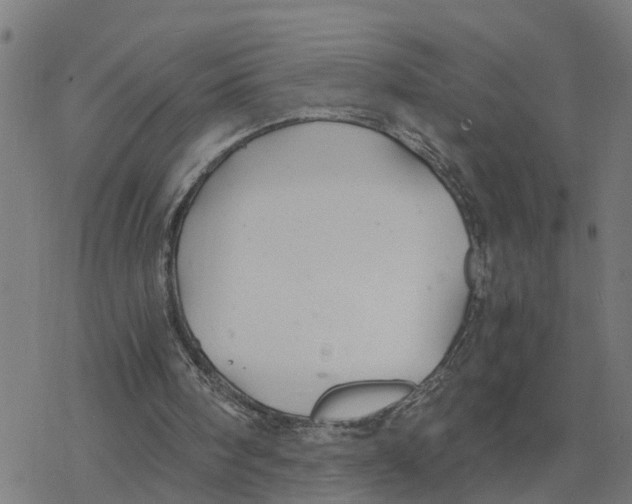 X0000078260098200612011704