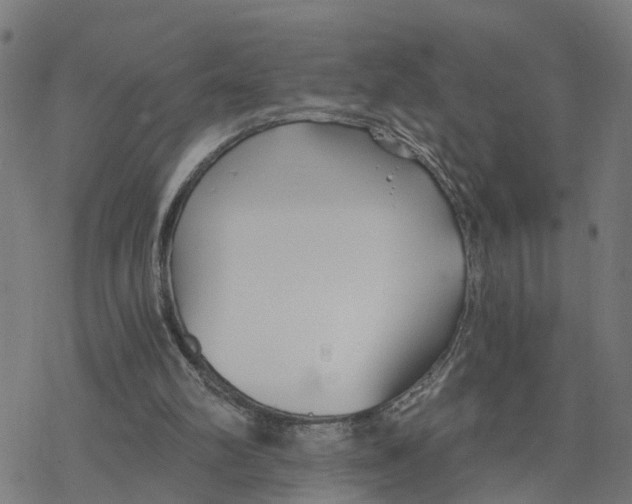 X0000078260102200612011704