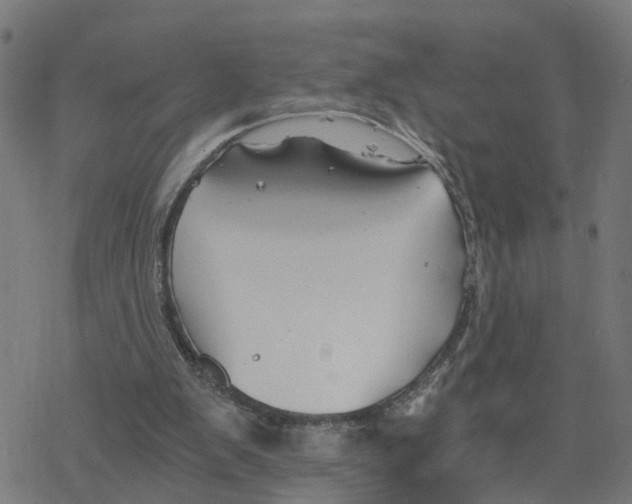 X0000078260103200612011704