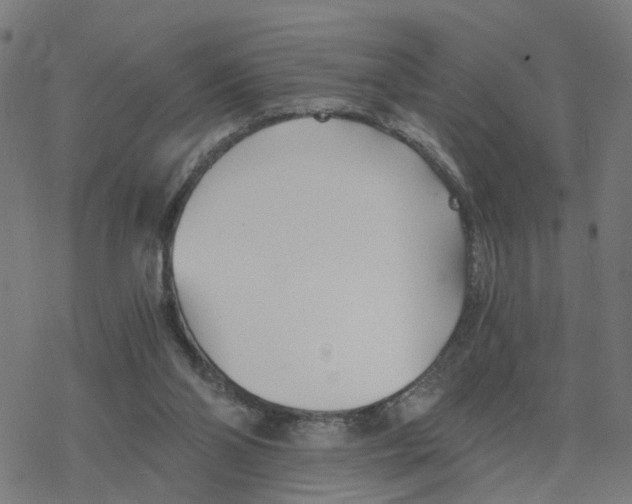 X0000078260110200612011704