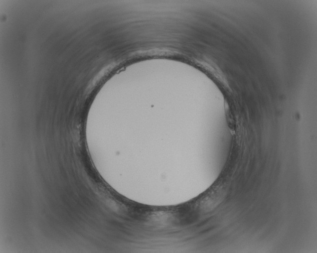 X0000078260111200612011704