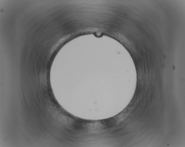 X0000078260112200612011704