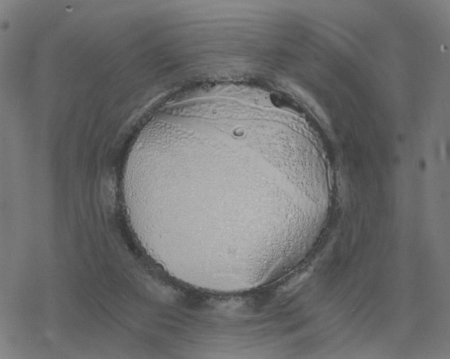 X0000078260113200612011704