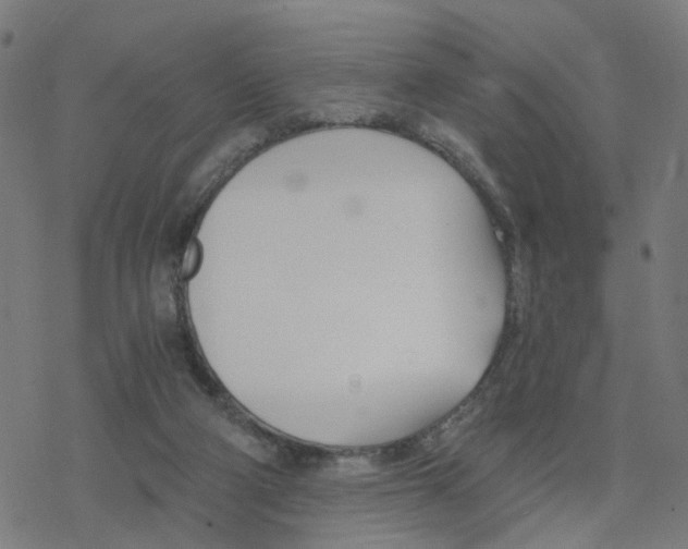 X0000078260114200612011704