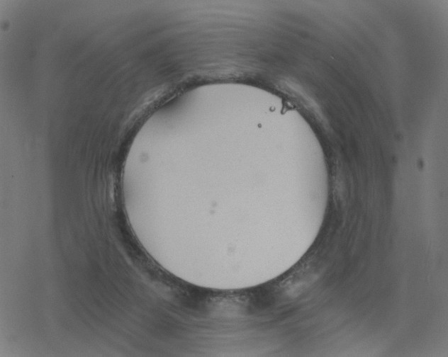 X0000078260115200612011704