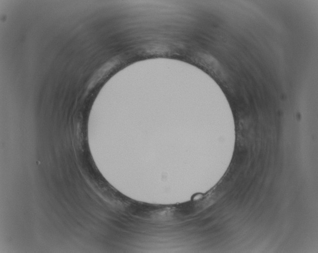 X0000078260116200612011704