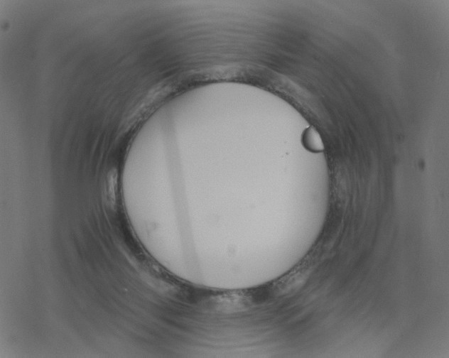 X0000078260118200612011704