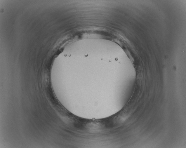 X0000078260119200612011704