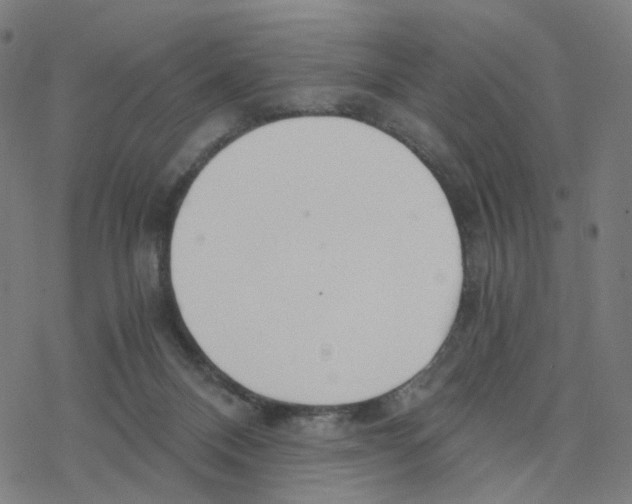 X0000078260120200612011704