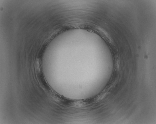 X0000078260121200612011704