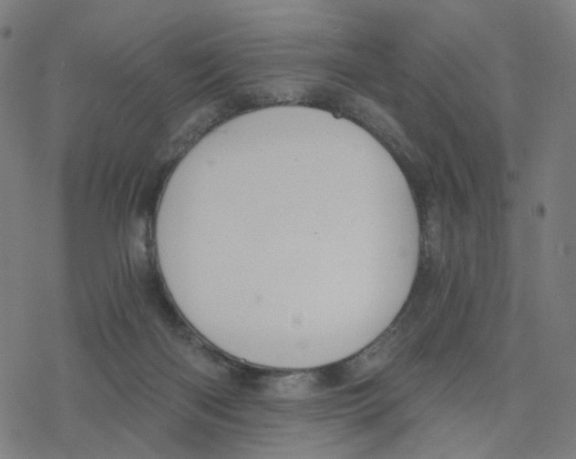 X0000078260122200612011704