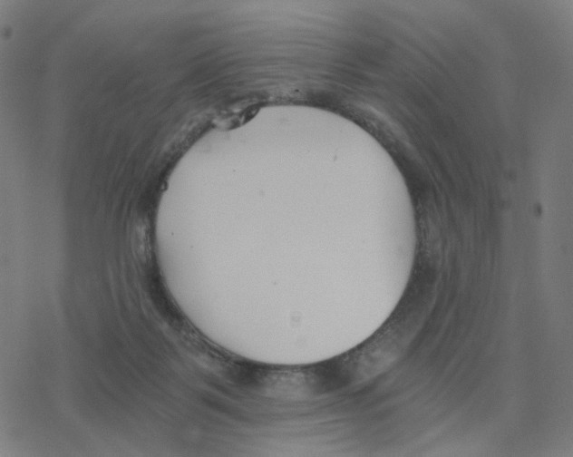 X0000078260123200612011704