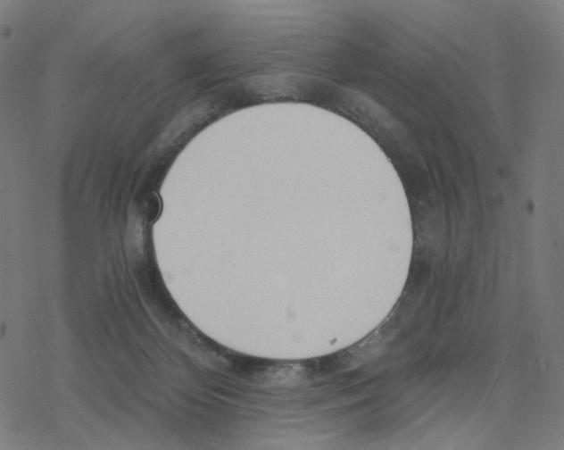 X0000078260124200612011704