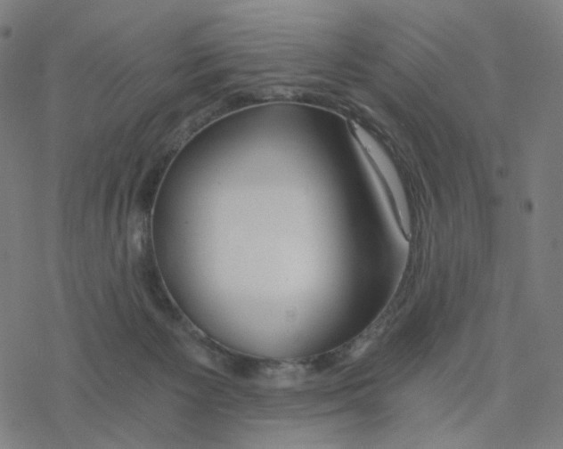 X0000078260125200612011704