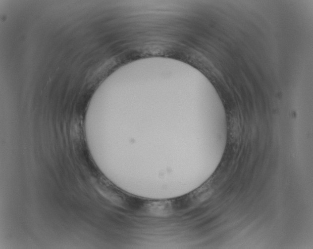 X0000078260126200612011704