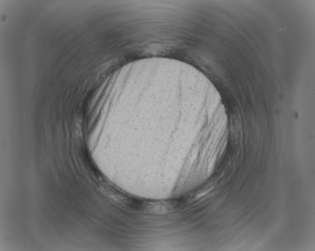 X0000078260127200612011704