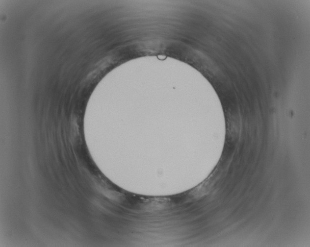 X0000078260128200612011704