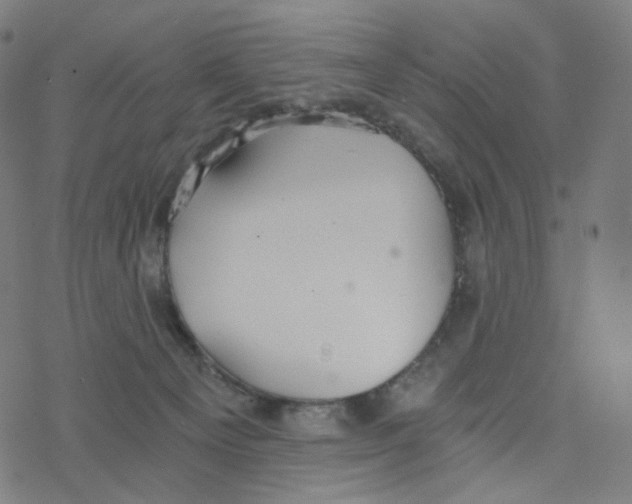 X0000078260129200612011704