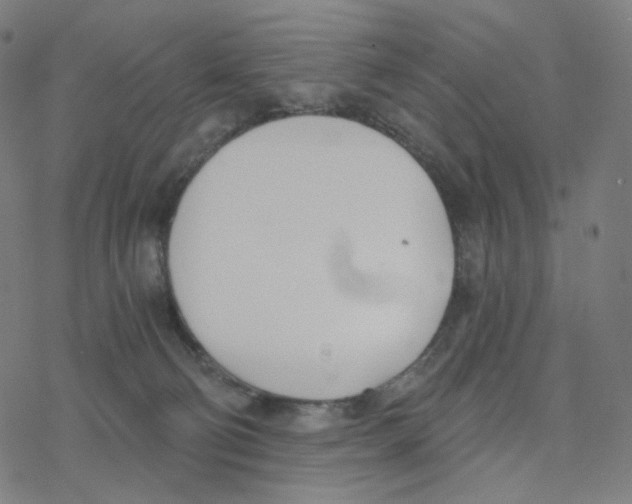 X0000078260130200612011704