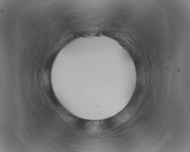 X0000078260131200612011704