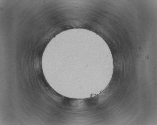 X0000078260132200612011704