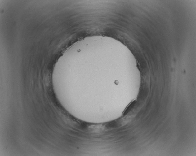 X0000078260133200612011704