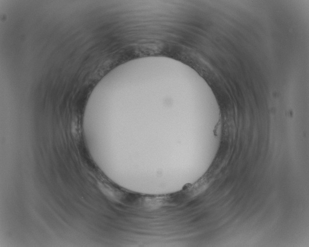 X0000078260134200612011704