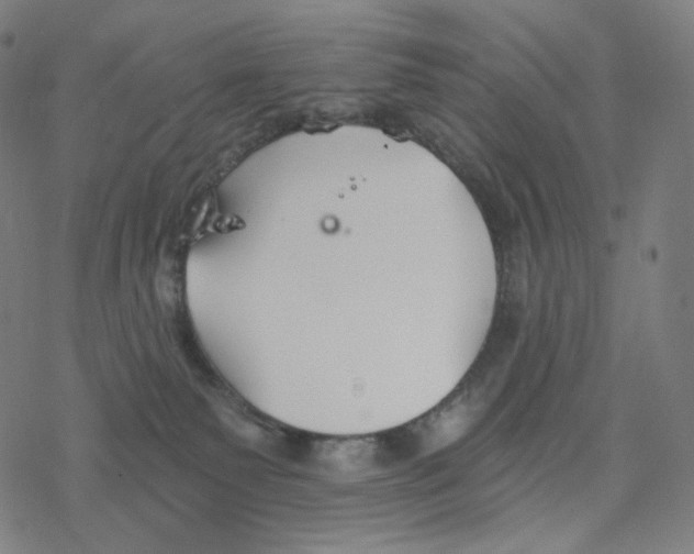 X0000078260135200612011704