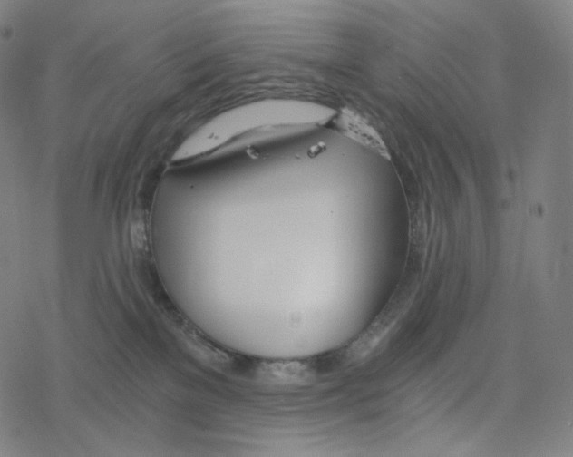 X0000078260137200612011704