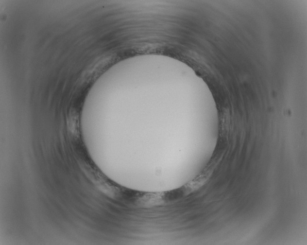 X0000078260138200612011704