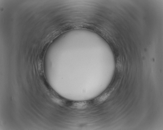 X0000078260139200612011704