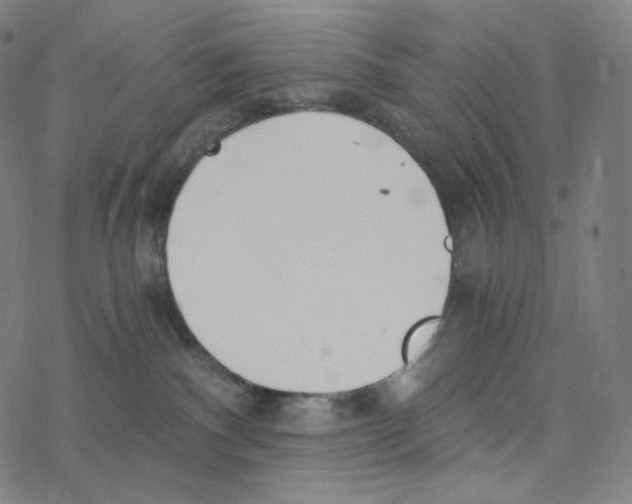 X0000078260140200612011704