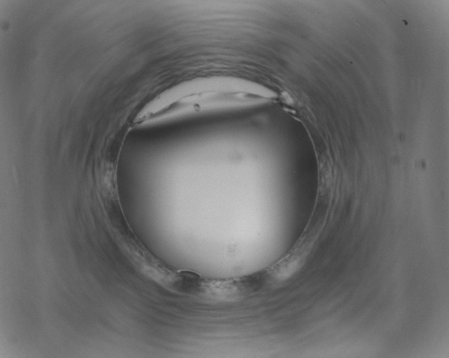 X0000078260141200612011704