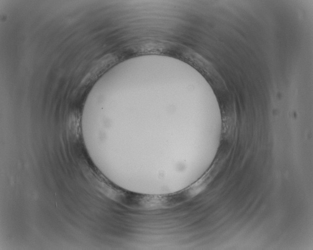 X0000078260142200612011704