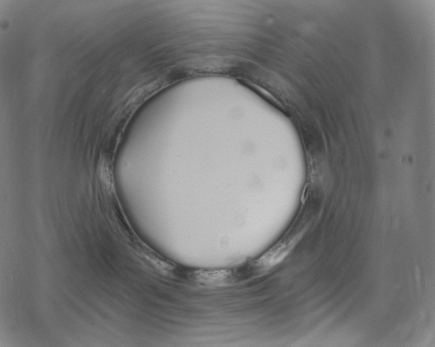 X0000078260143200612011704