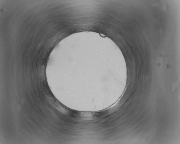 X0000078260144200612011704