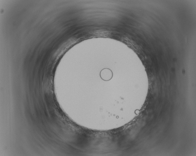 X0000078260146200612011703