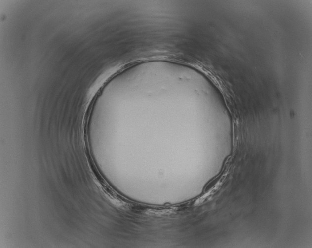 X0000078260147200612011703