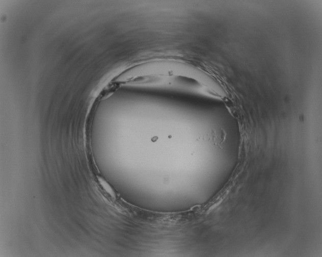 X0000078260148200612011703