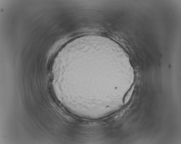 X0000078260149200612011703