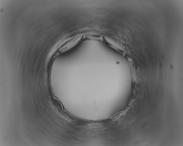 X0000078260150200612011703