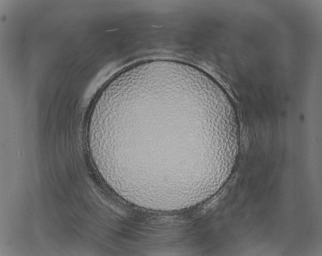 X0000078260151200612011703