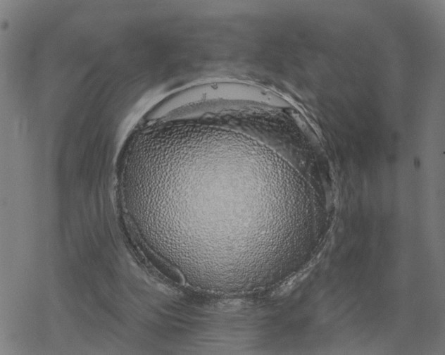 X0000078260152200612011703