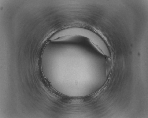 X0000078260154200612011703