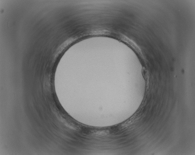 X0000078260155200612011703