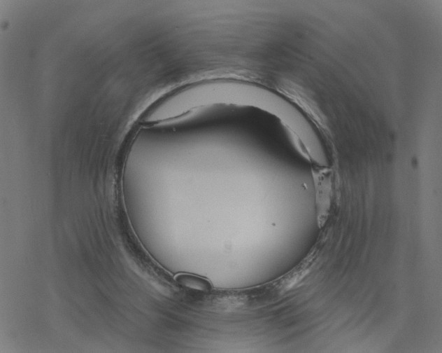 X0000078260156200612011703