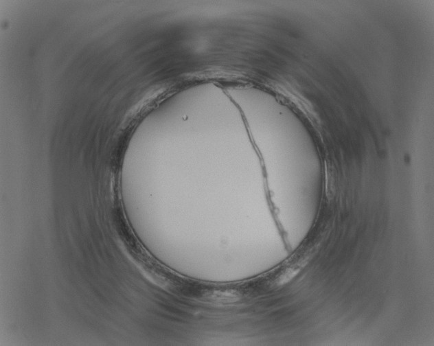 X0000078260157200612011703