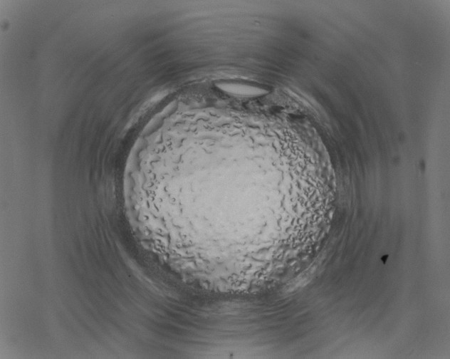 X0000078260158200612011703