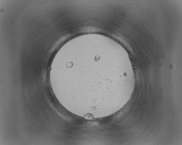 X0000078260159200612011703